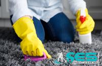 SES Carpet Cleaning Ivanhoe image 2